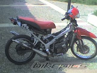 2008 YAMAHA Z 125 | Picture 1116589 motorcycle photo