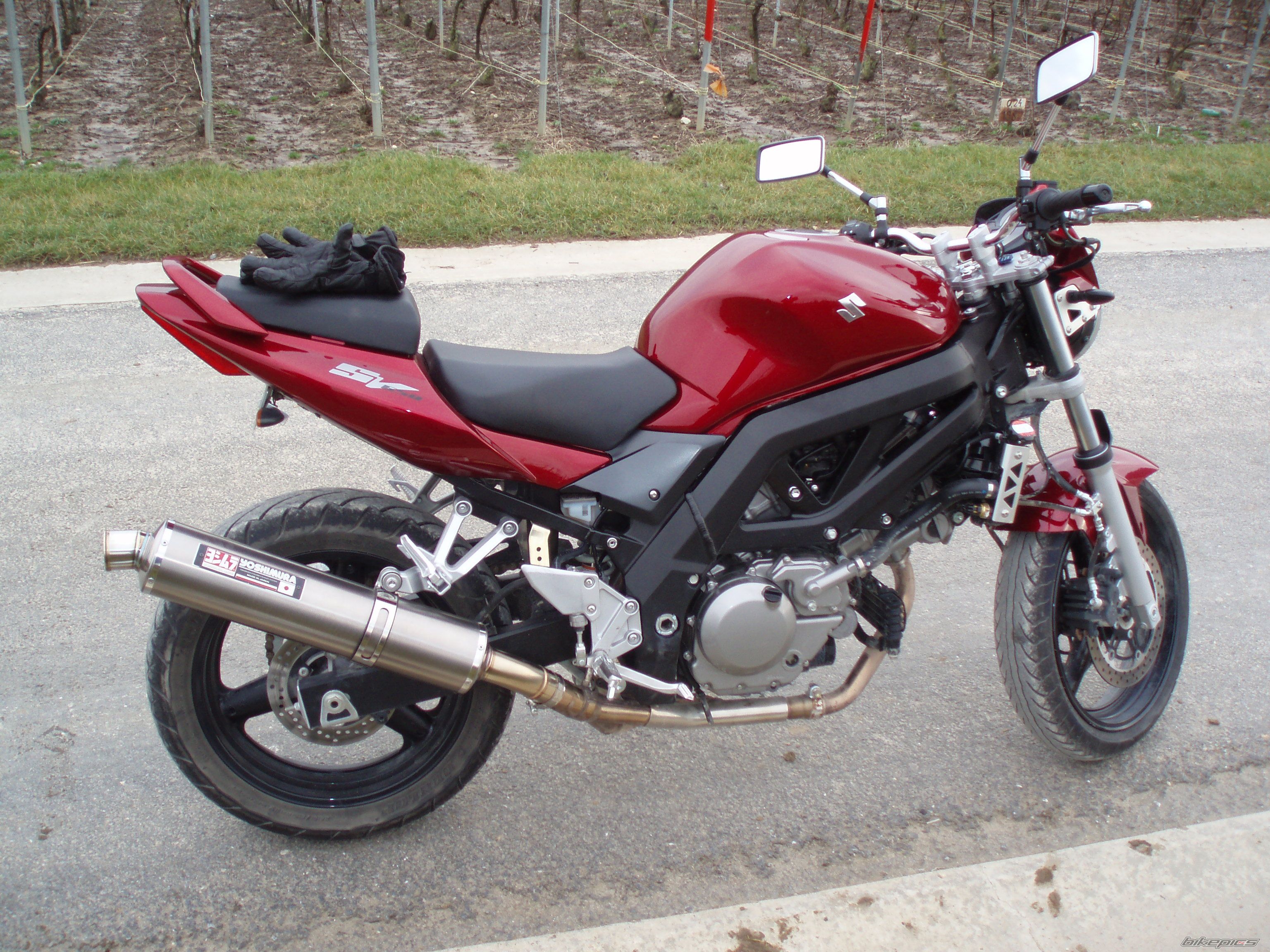 2007 SUZUKI SV 650 | Picture 1116710 motorcycle photo