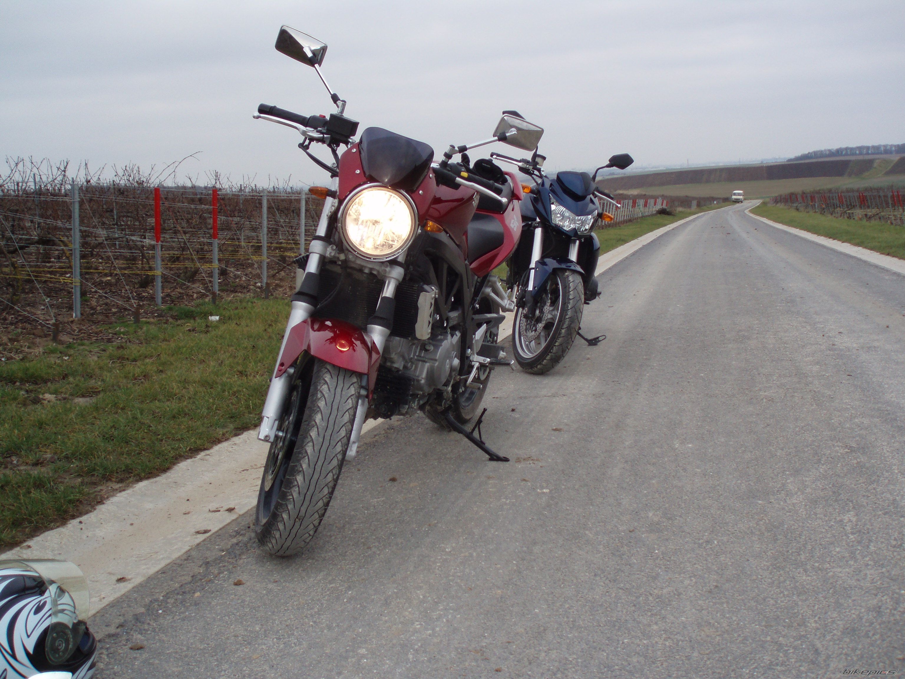 2007 SUZUKI SV 650 | Picture 1116713 motorcycle photo