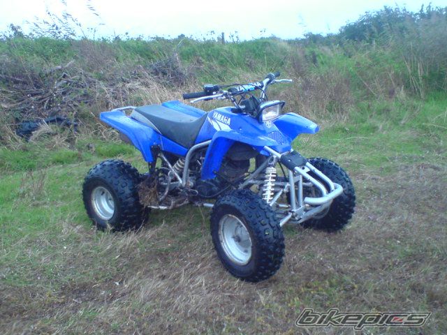 2002 YAMAHA BLASTER | Picture 1117034 motorcycle photo