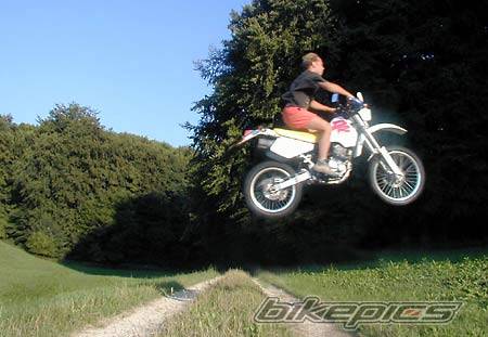 1993 SUZUKI DR 350 | Picture 111720 motorcycle photo