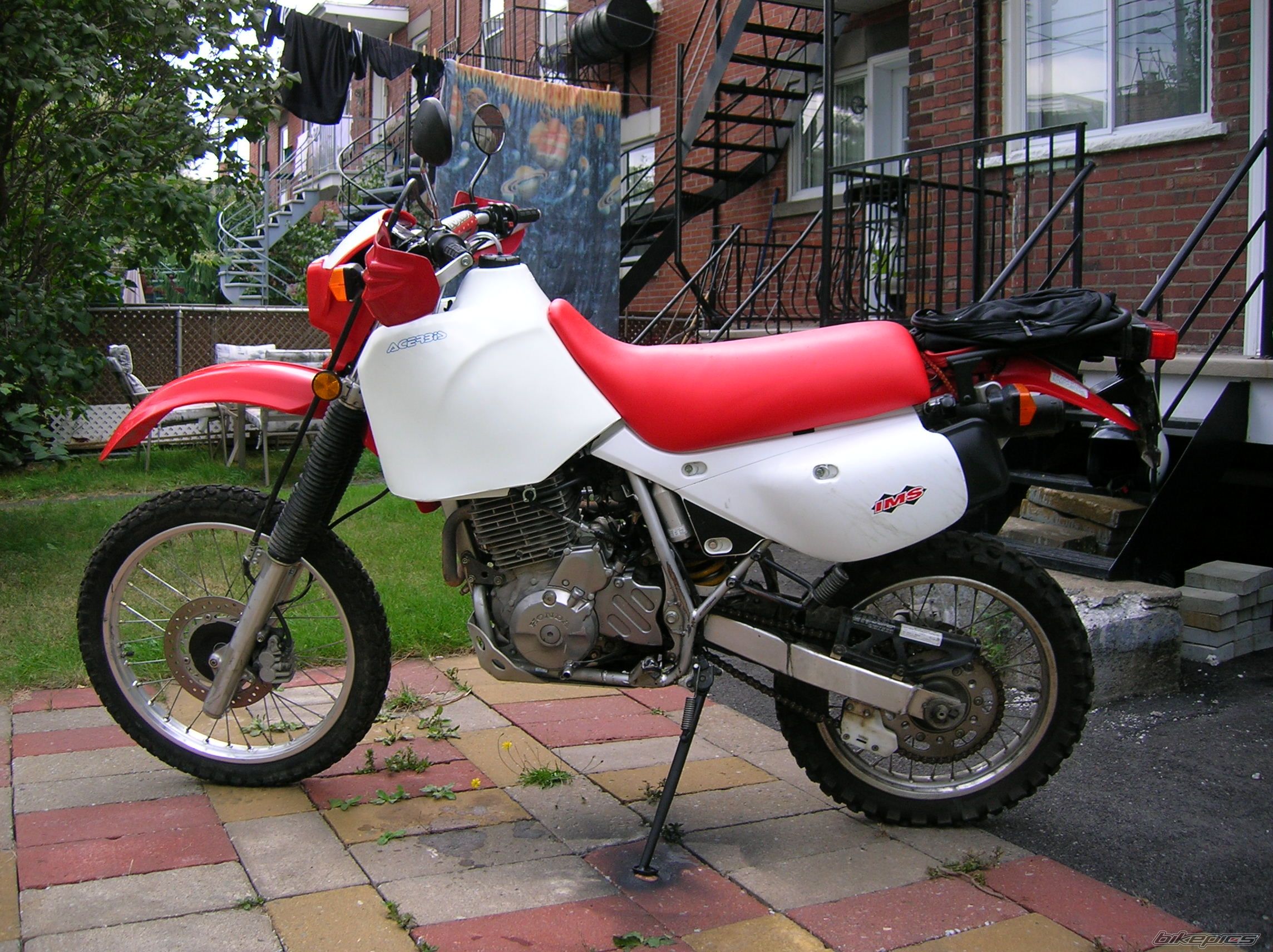 2001 HONDA XR 650 | Picture 1117298 motorcycle photo