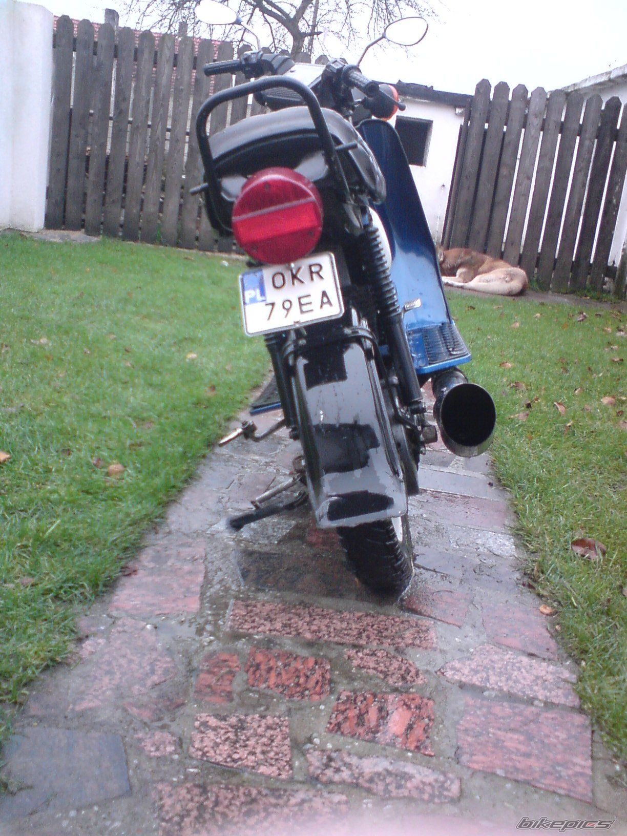 1987 SIMSON SR 50 | Picture 1117762 motorcycle photo