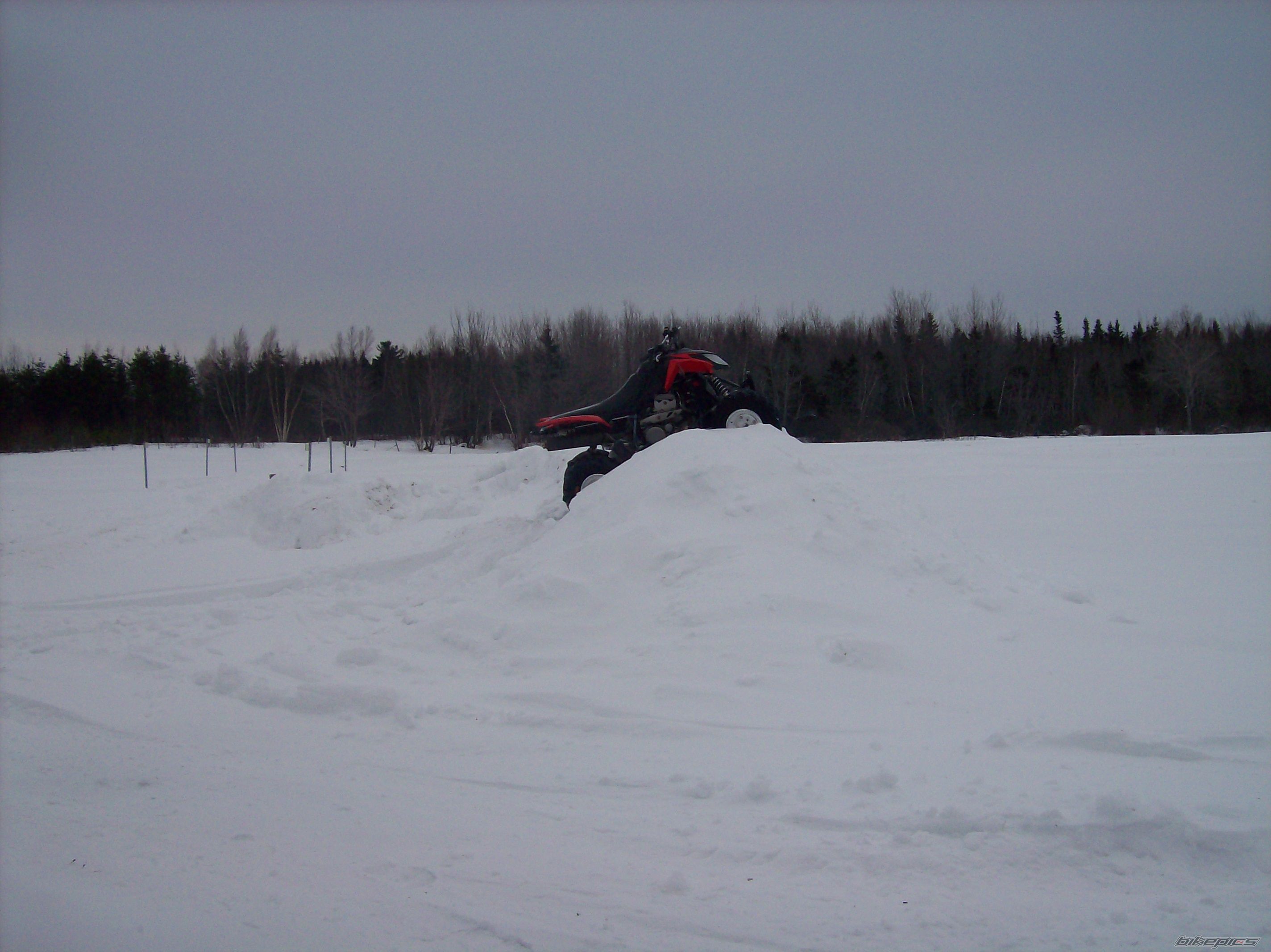 2004 ARCTIC CAT SPORT CAT DVX 400 | Picture 1117856 motorcycle photo