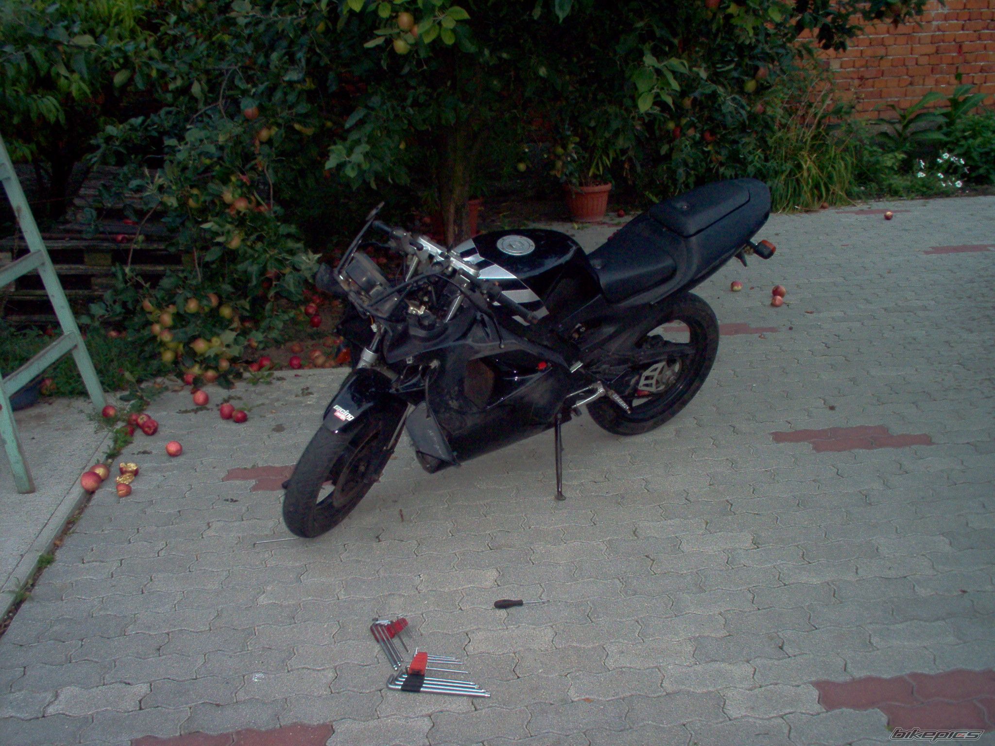 1998 APRILIA RS 50 | Picture 1118256 motorcycle photo