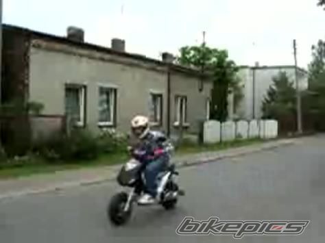 2003 GILERA ICE 50 | Picture 1119303 motorcycle photo