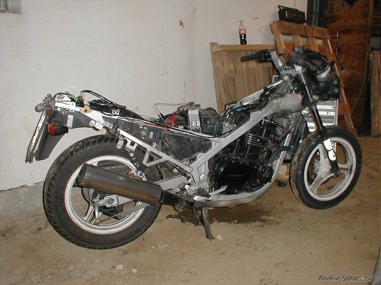 1990 KAWASAKI GPZ 500 | Picture 111991 motorcycle photo