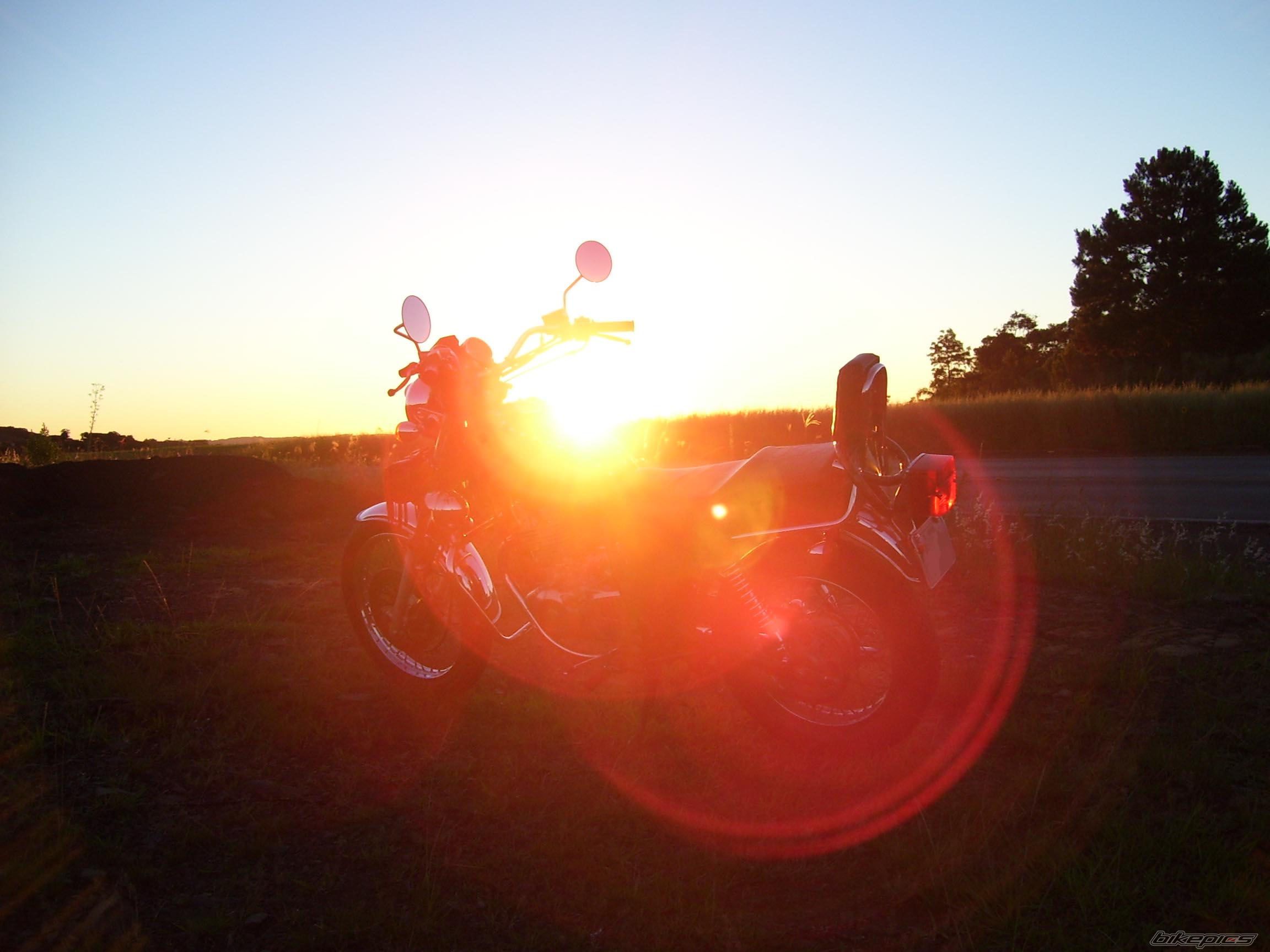 2001 SUZUKI GN 250 | Picture 1119939 motorcycle photo