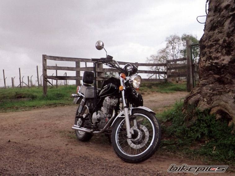 2001 SUZUKI GN 250 | Picture 1119948 motorcycle photo