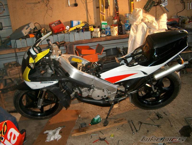 1993 APRILIA AF1 SPORT PRO 125 | Picture 112004 motorcycle photo