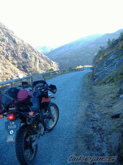 1989 HONDA NX 650 DOMINATOR | Picture 1120473 motorcycle photo