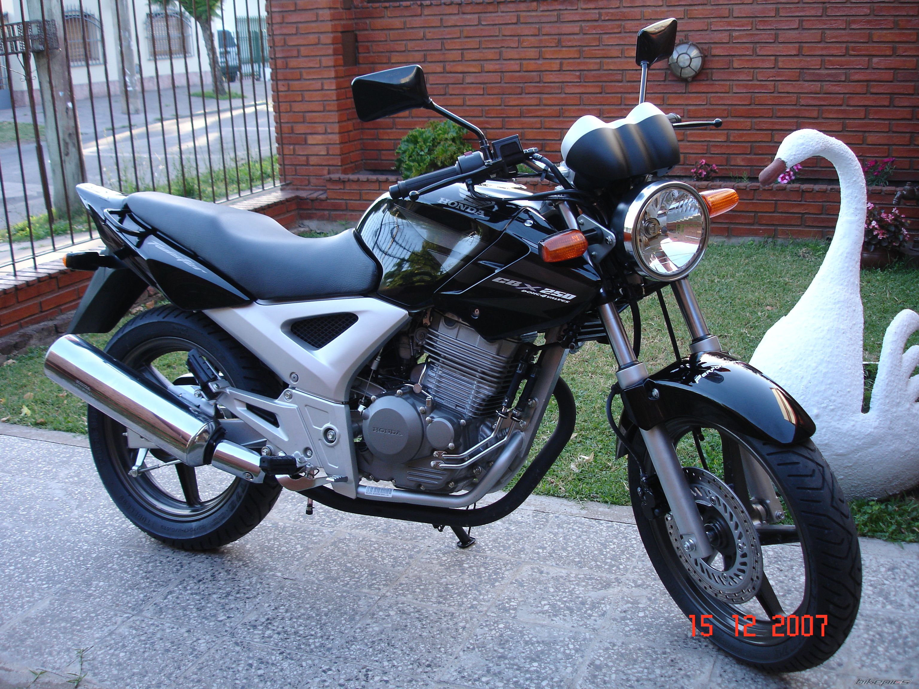 2008 HONDA CBX 250 | Picture 1120652 motorcycle photo
