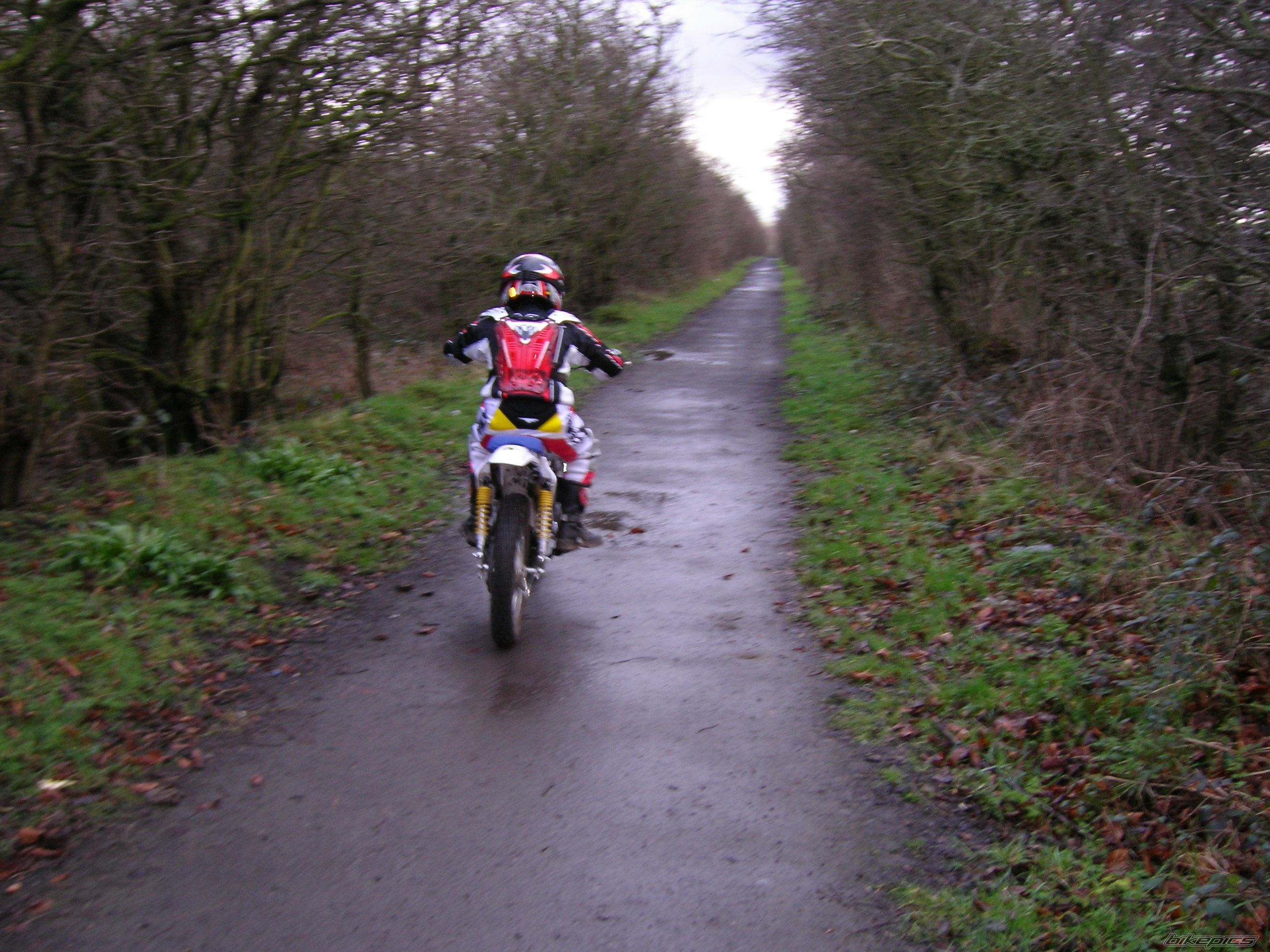 2005 SUZUKI TS 100 | Picture 1121302 motorcycle photo