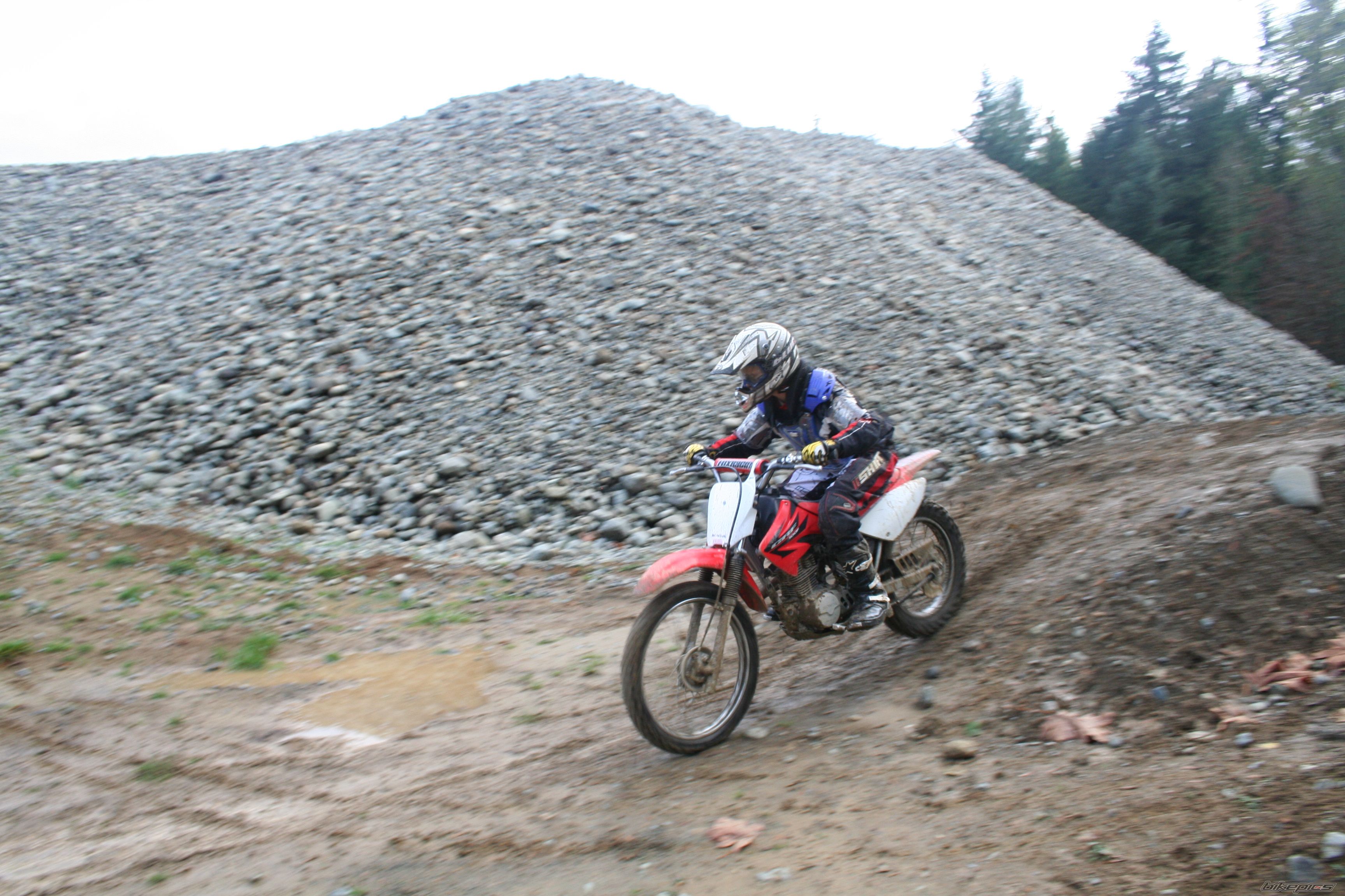 2008 HONDA CRF 100 | Picture 1121625 motorcycle photo