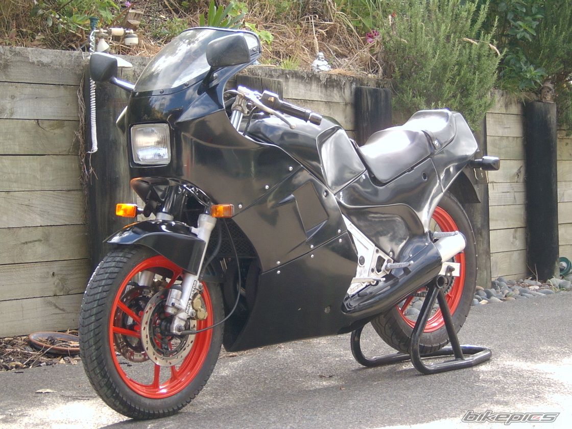 1986 SUZUKI RG 250 | Picture 1121695 motorcycle photo