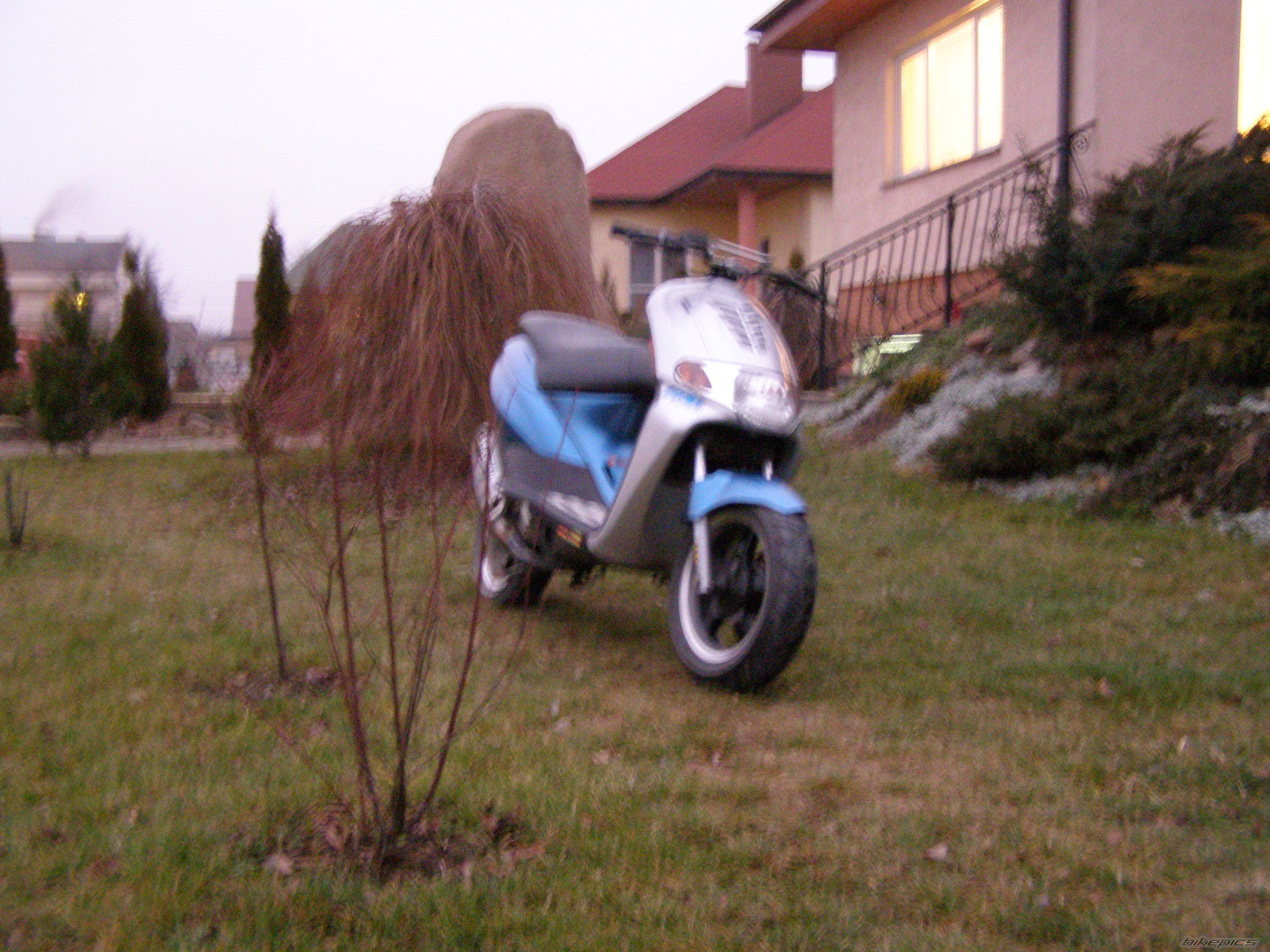 2002 DERBI ATLANTIS | Picture 1122130 motorcycle photo