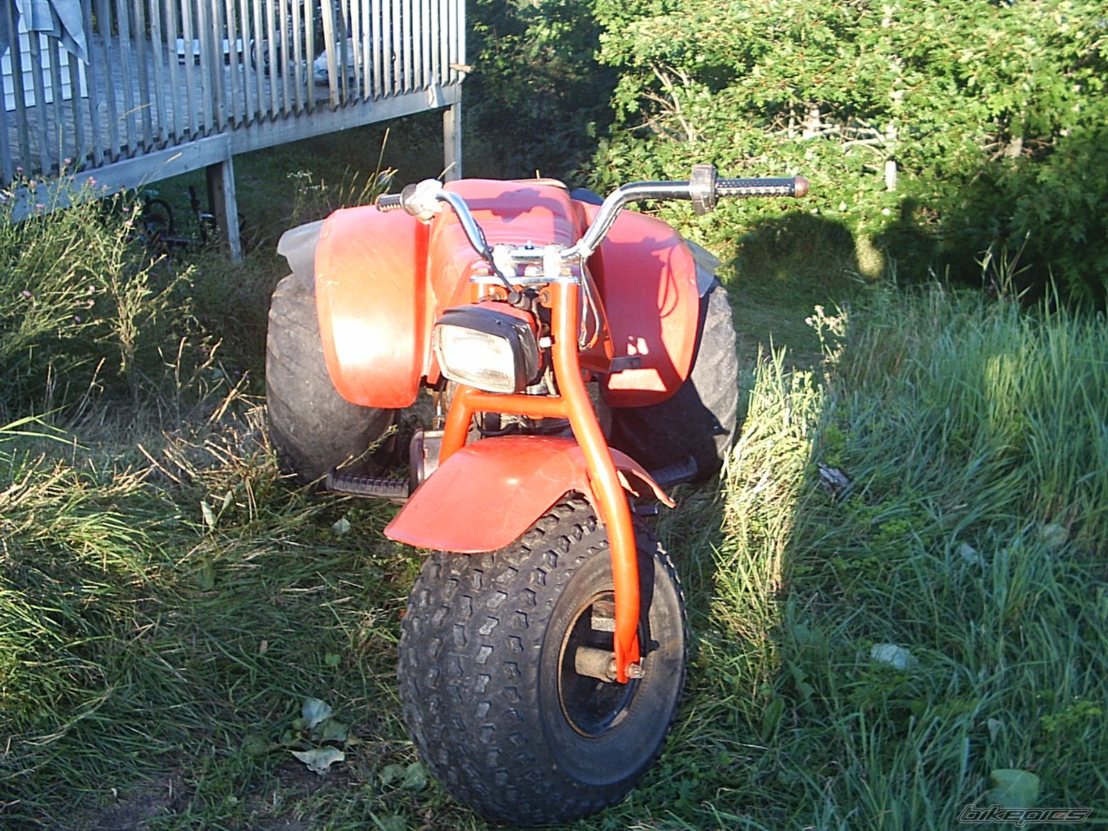 1982 HONDA ATC 185 | Picture 1122267 motorcycle photo