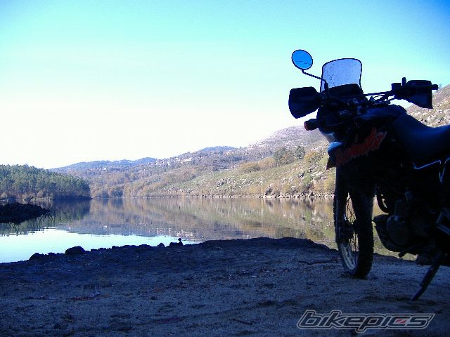 1989 HONDA NX 650 DOMINATOR | Picture 1122394 motorcycle photo
