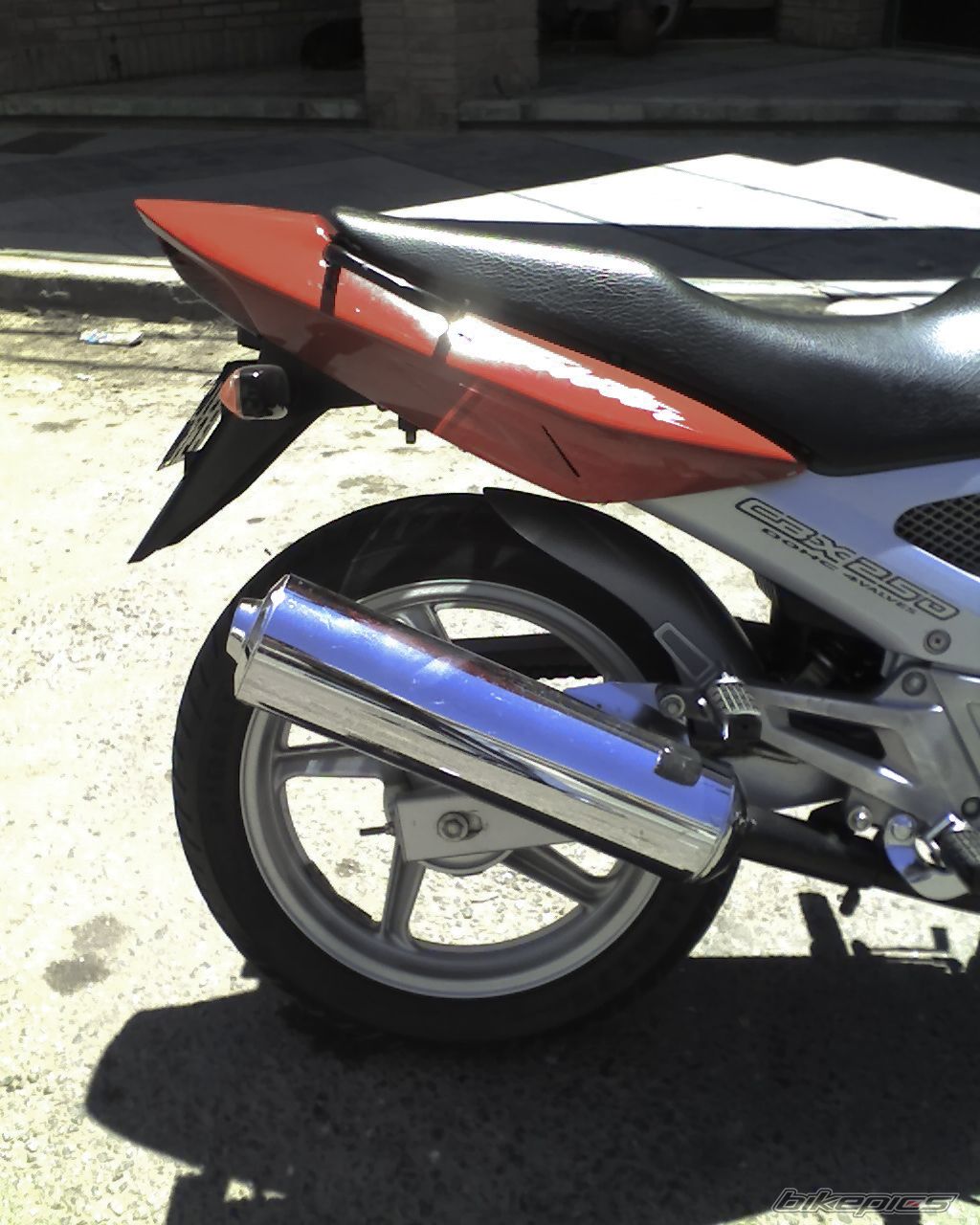 2004 HONDA CBX 250 | Picture 1122426 motorcycle photo