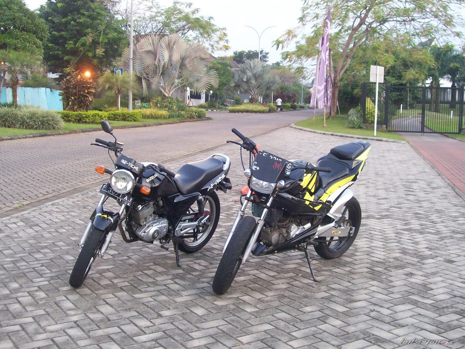 2004 SUZUKI EN 125 | Picture 1122587 motorcycle photo