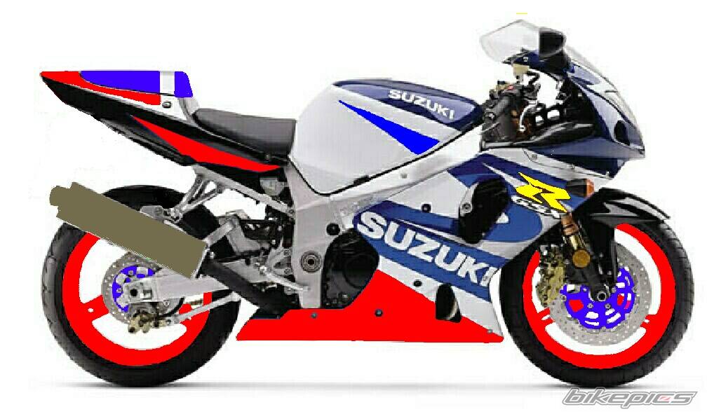 2001 SUZUKI GSX R 1000 | Picture 11226 motorcycle photo