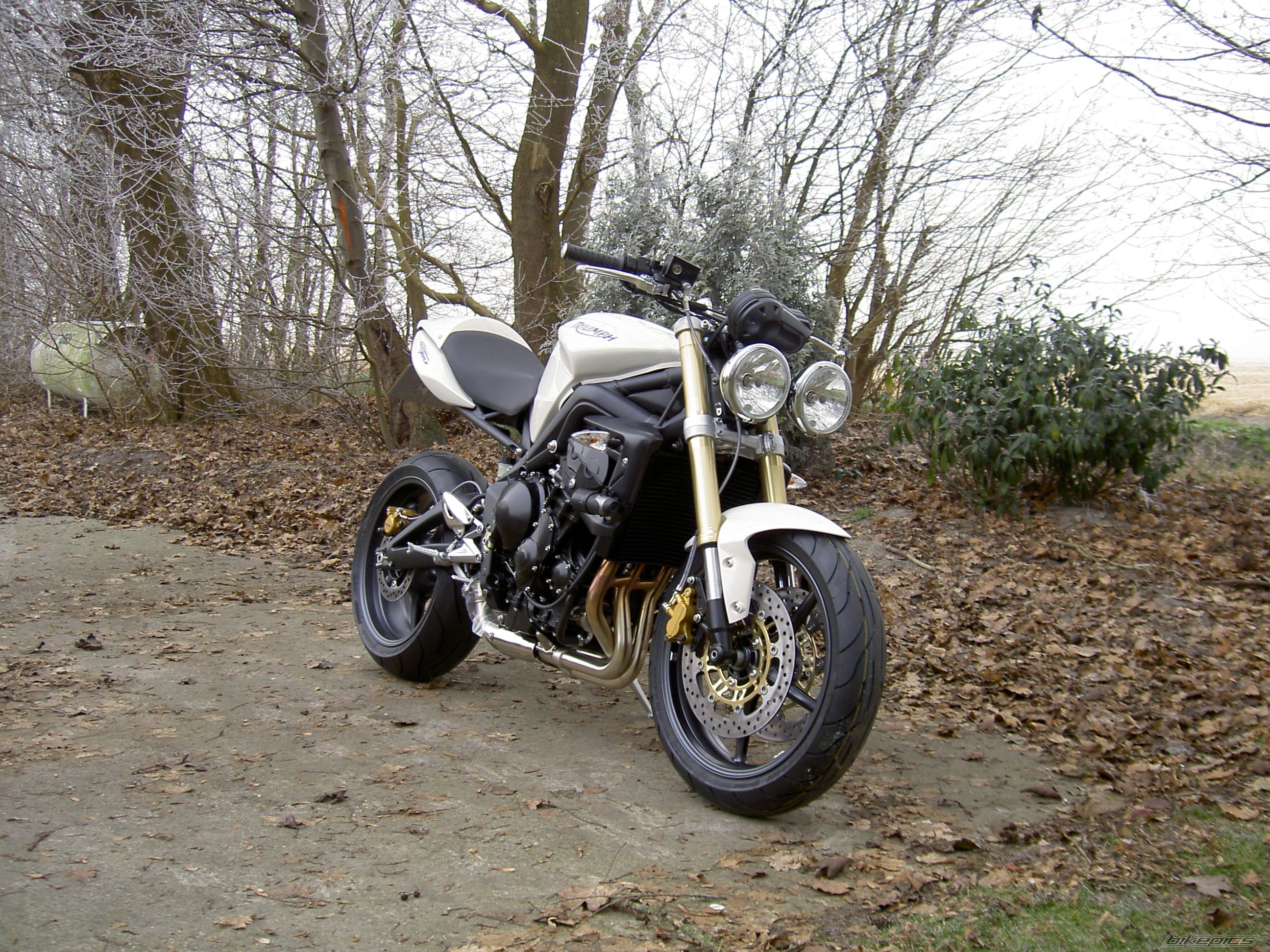 2008 TRIUMPH SPEED TRIPLE | Picture 1122648 motorcycle photo