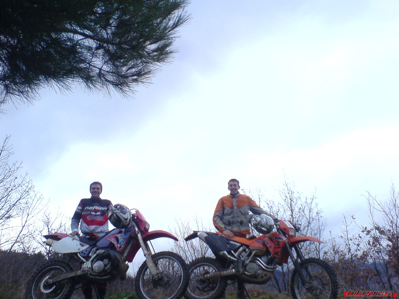 2008 KTM 125 SX | Picture 1122838 motorcycle photo