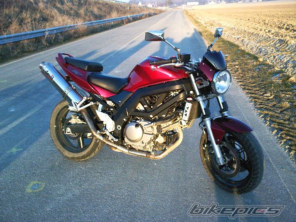 2007 SUZUKI SV 650 | Picture 1122874 motorcycle photo