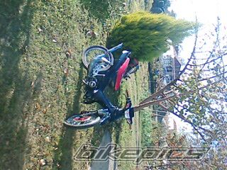 2008 YAMAHA F1 ZR | Picture 1123114 motorcycle photo