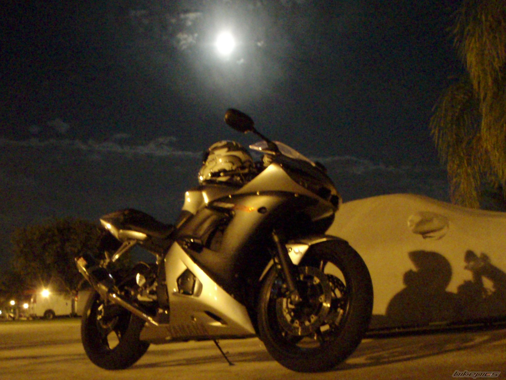 2003 YAMAHA YZF R6 | Picture 1123184 motorcycle photo