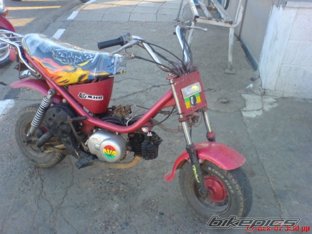 2009 YAMAHA LB 50 CHAPPY | Picture 1123413 motorcycle photo