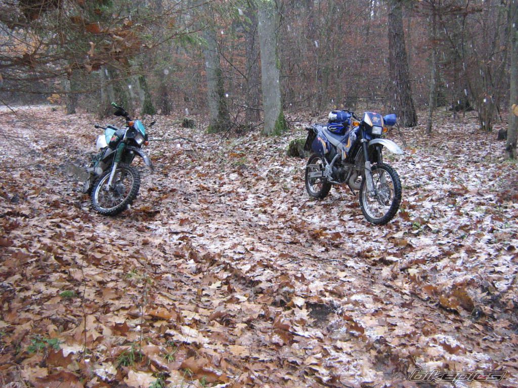 2001 APRILIA ETX 125 | Picture 1123482 motorcycle photo