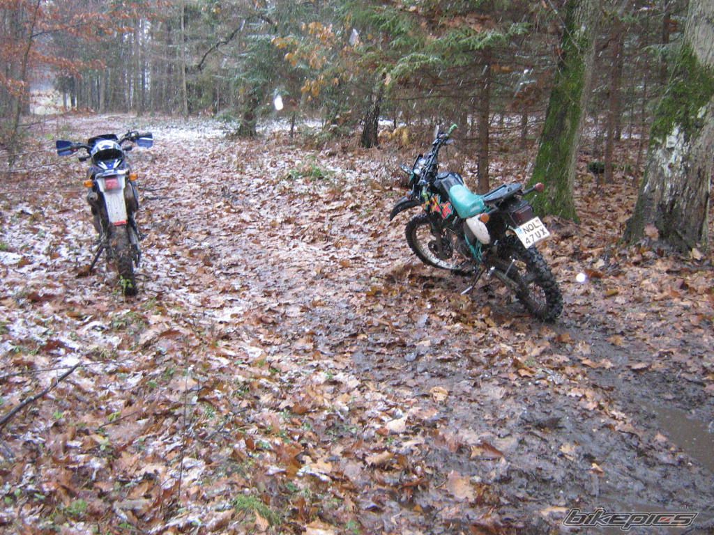 2001 APRILIA ETX 125 | Picture 1123487 motorcycle photo