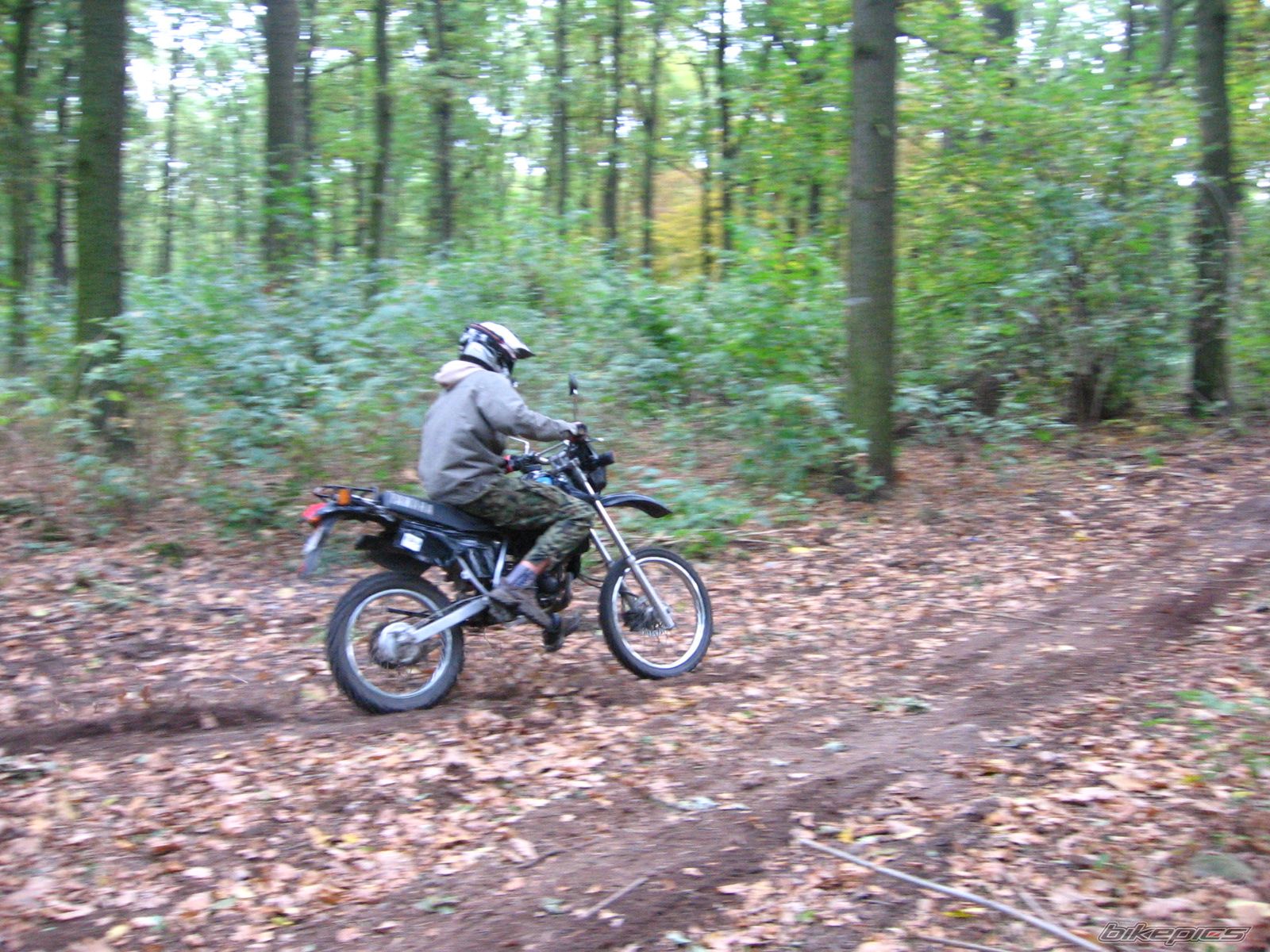 1992 YAMAHA DT 80 | Picture 1123853 motorcycle photo