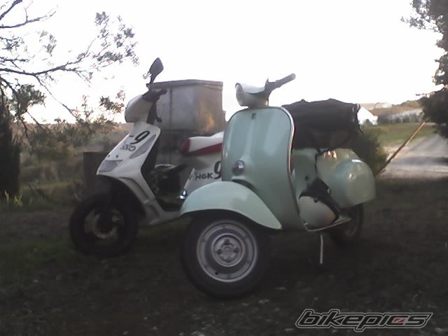 2001 YAMAHA TARGET 50 | Picture 1124123 motorcycle photo