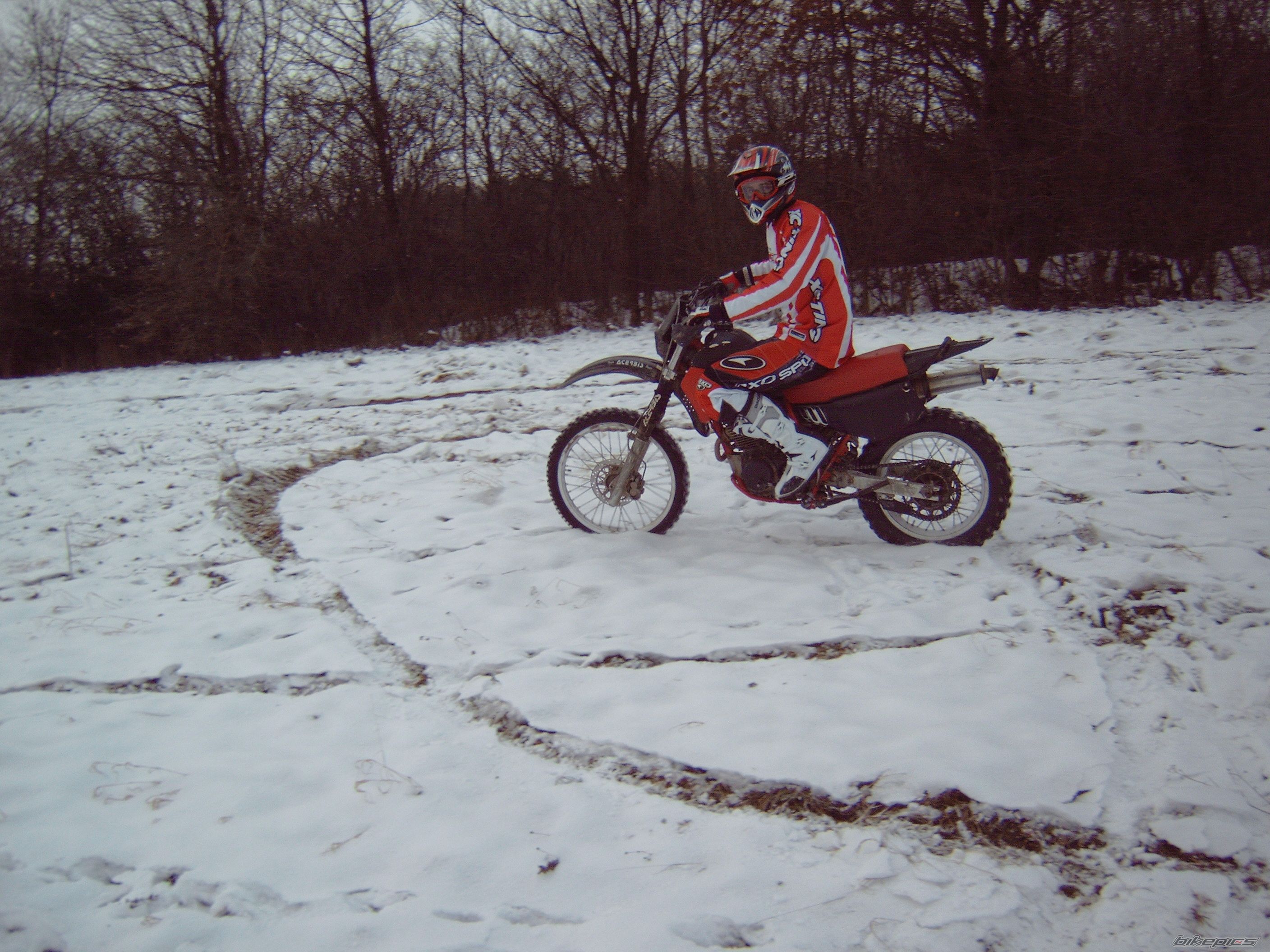 1988 YAMAHA TTR 350 | Picture 1124404 motorcycle photo