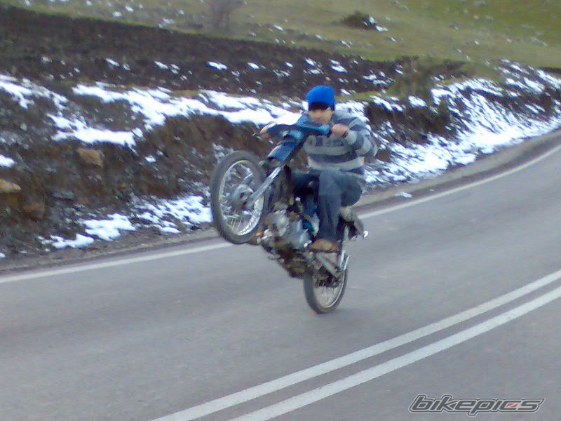 2008 HONDA C 50 | Picture 1124730 motorcycle photo