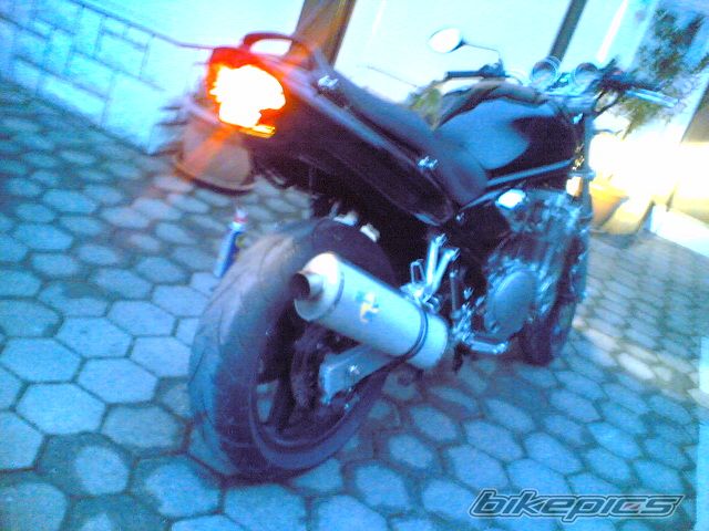 2003 SUZUKI BANDIT 600 | Picture 1125514 motorcycle photo