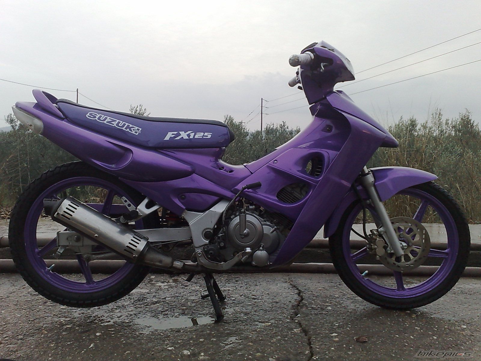 2008 SUZUKI FX 125 | Picture 1125520 motorcycle photo