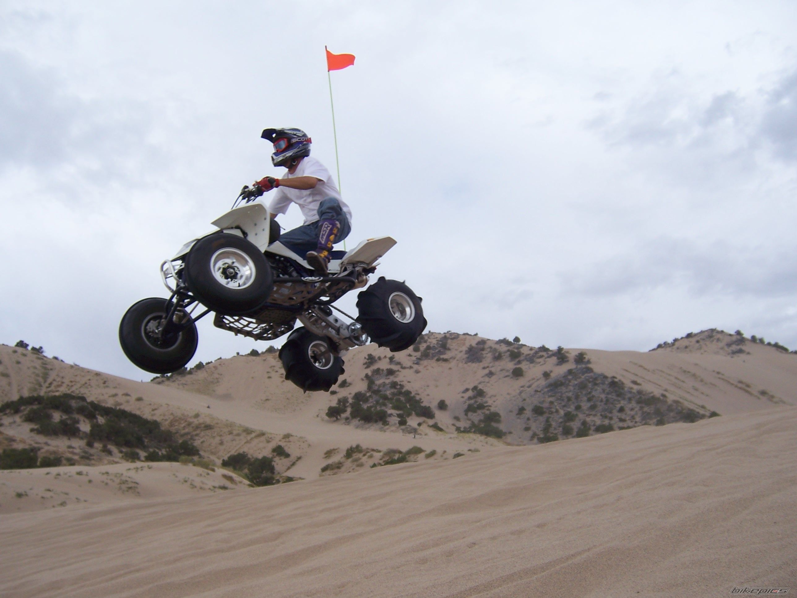 2007 SUZUKI LTR 450 | Picture 1125847 motorcycle photo