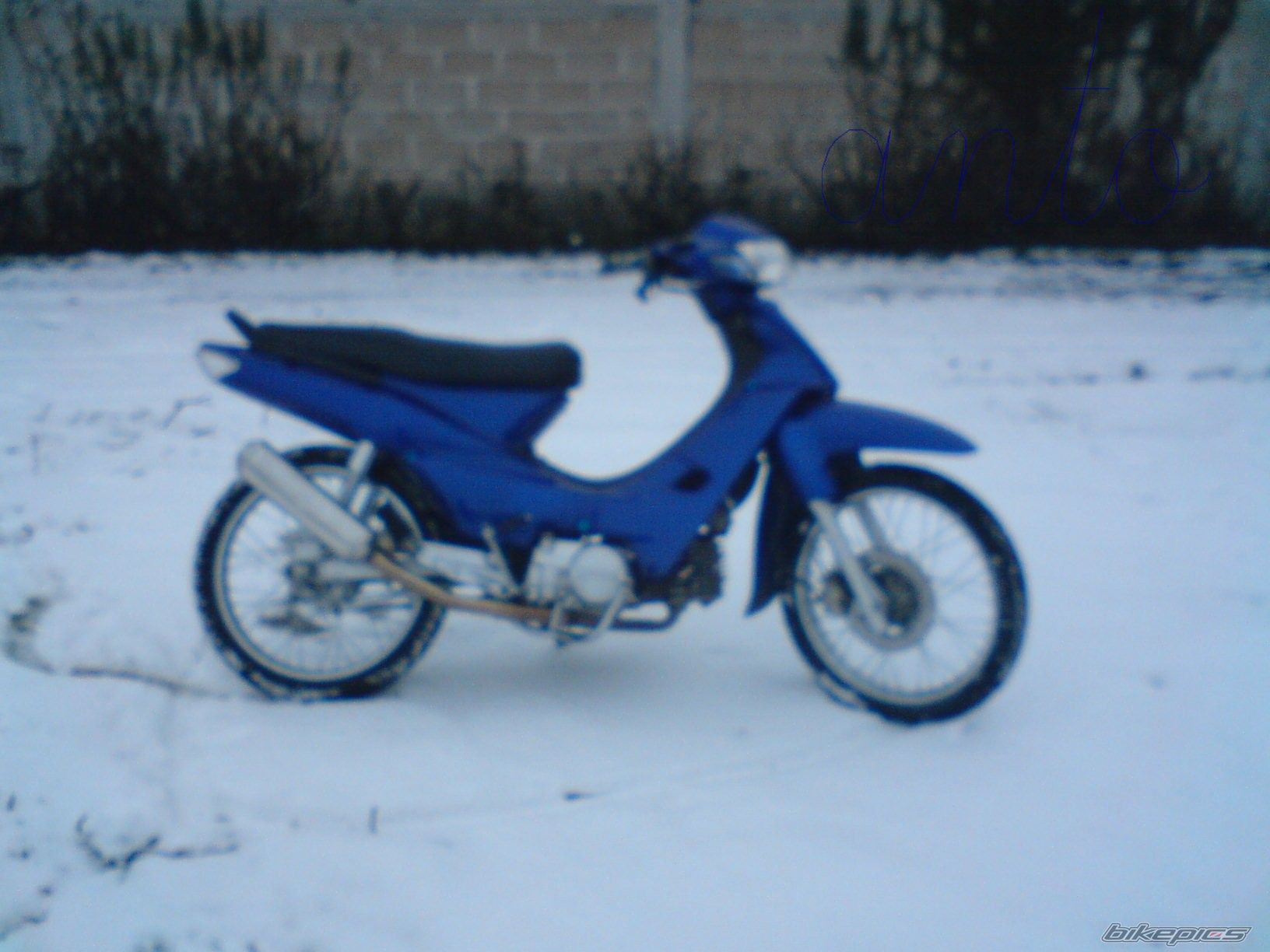 2008 HONDA SUPRA 110 | Picture 1126093 motorcycle photo