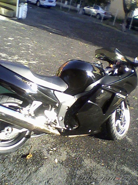 2006 HONDA CBR 1100 BLACKBIRD | Picture 1126229 motorcycle photo
