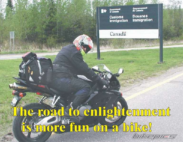 2004 HONDA CBR 1000  RR | Picture 1126235 motorcycle photo