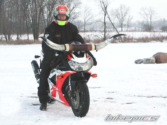 2000 HONDA CBR 900 | Picture 1126239 motorcycle photo