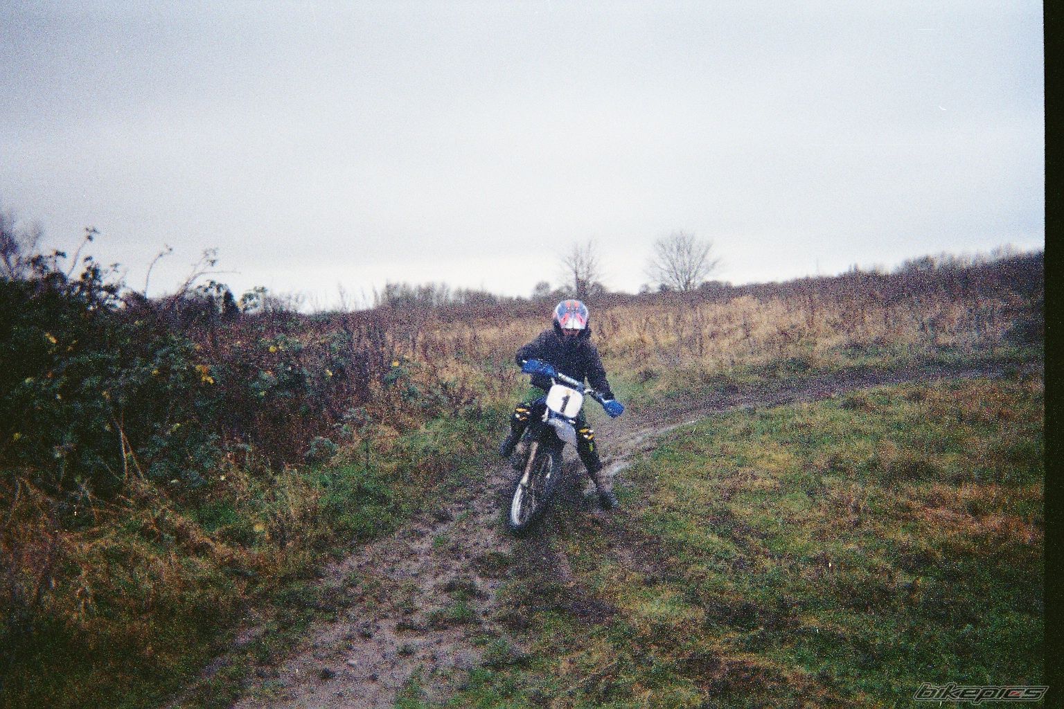 2004 YAMAHA TTR 125 | Picture 1126261 motorcycle photo