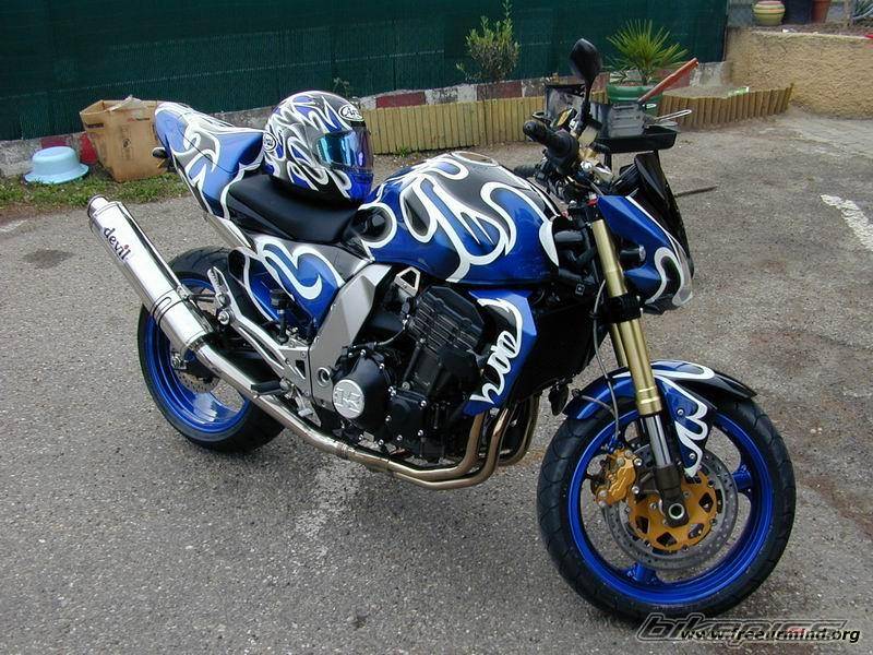 2003 KAWASAKI Z 1000 | Picture 112682 motorcycle photo