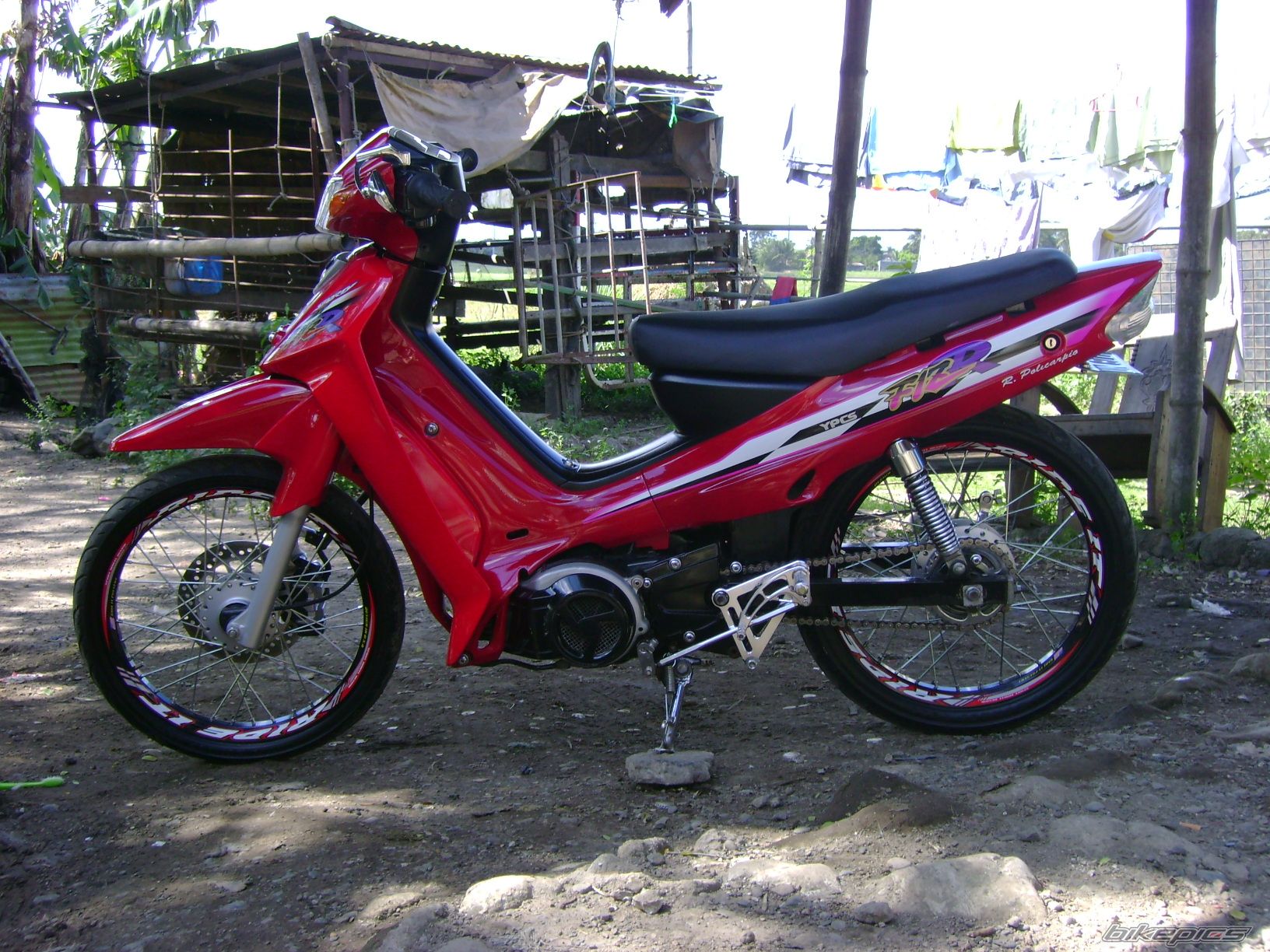 1998 YAMAHA F1 ZR | Picture 1126831 motorcycle photo