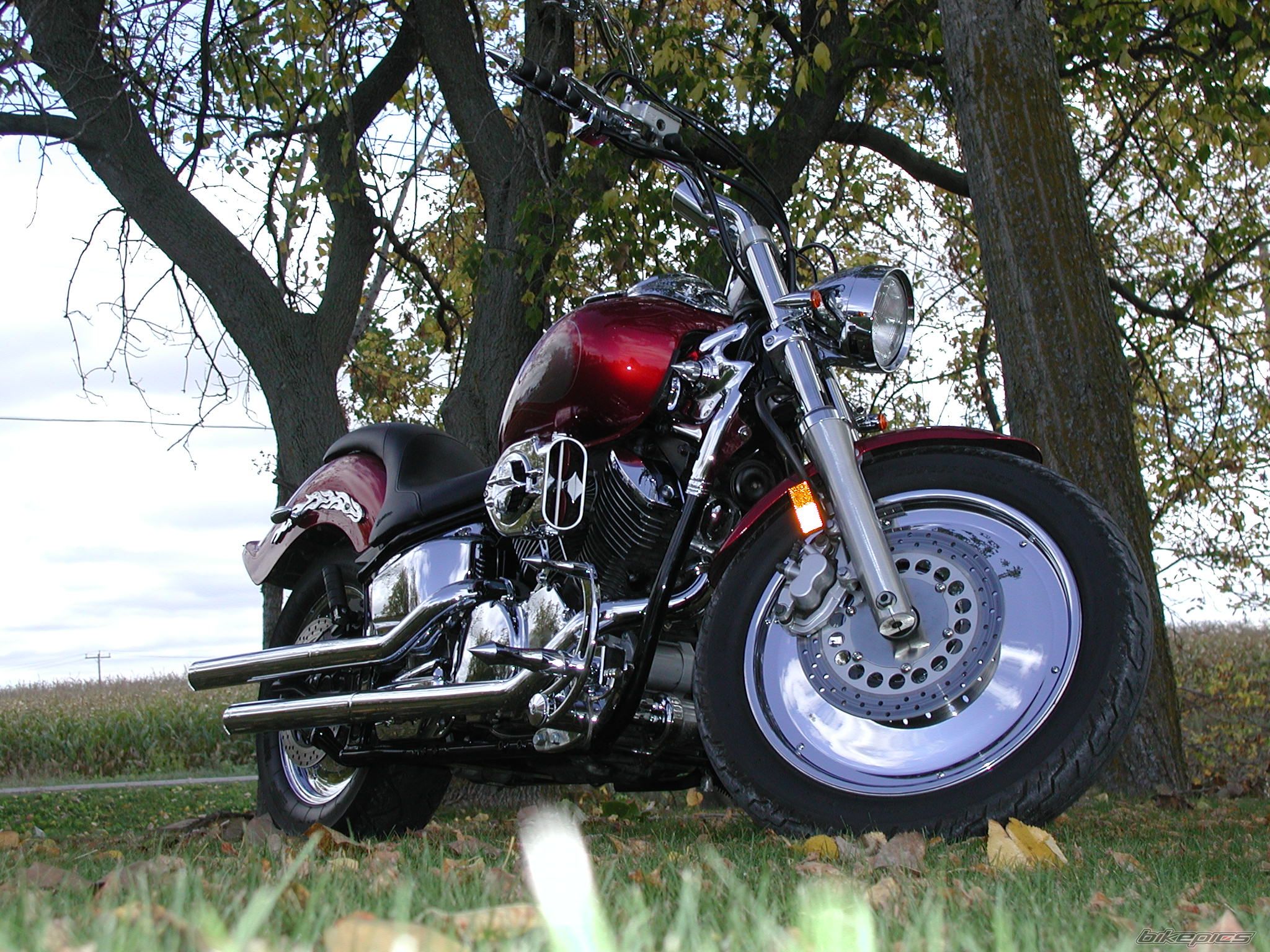    | Picture 1127434 motorcycle photo