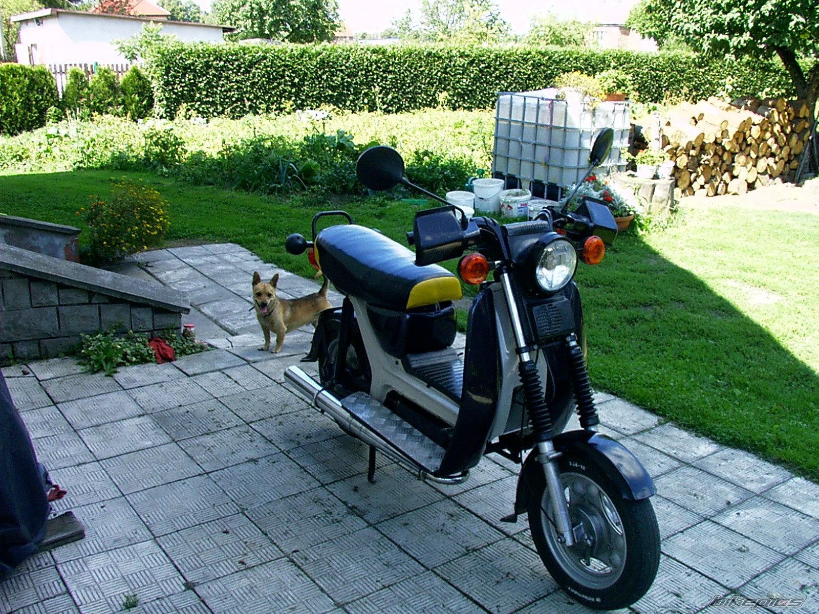 2009 SIMSON SR 80 | Picture 1127903 motorcycle photo