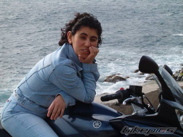 2004 YAMAHA FZ6 FAZER | Picture 113299 motorcycle photo